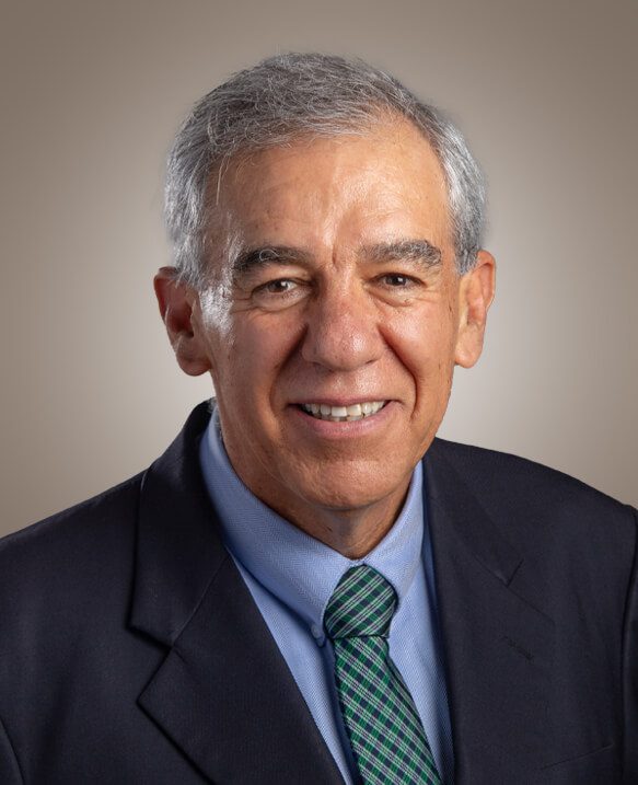 Es profesor decano del área de Política de Empresa de IPADE. Fungió como director del Centro de Investigación en Iniciativa Empresarial (CIIE).